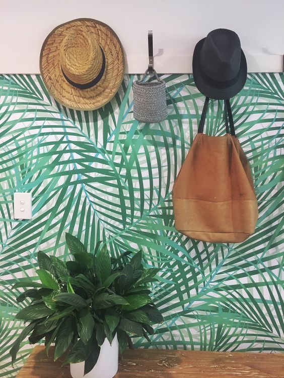 dzsungel, otthon, lakas