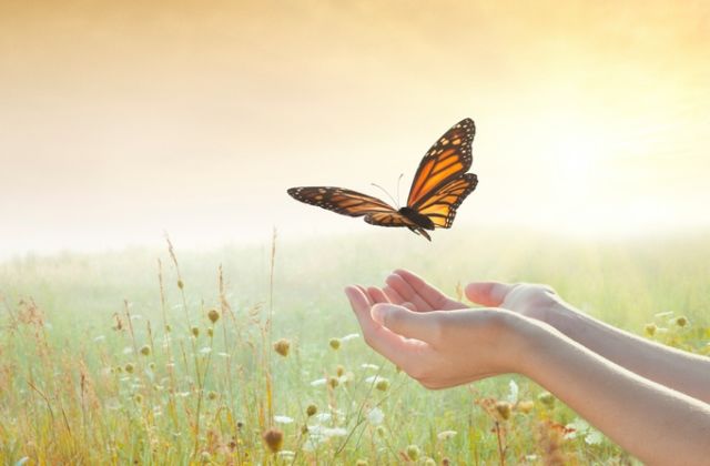 napi kínai horoszkóp 2018. augusztus 13.