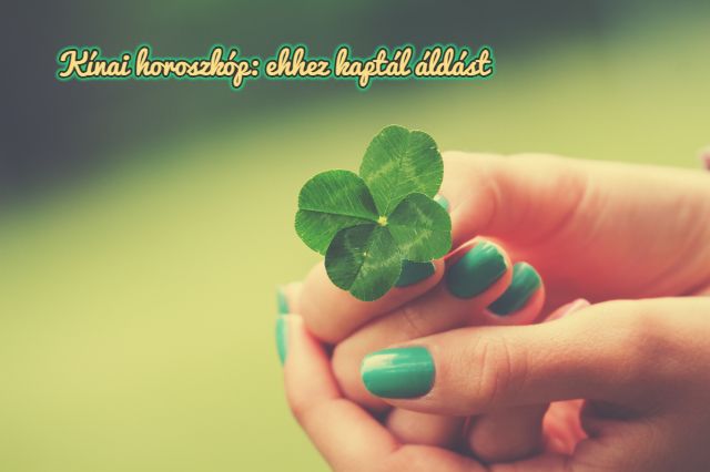 napi kínai horoszkóp 2018. szeptember 27.