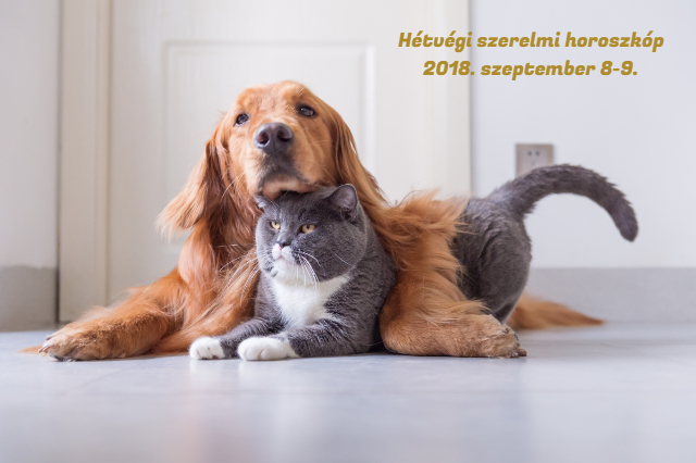 hétvégi szerelmi horoszkóp 2018. szeptember 8-9.
