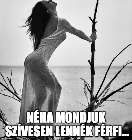 Vajna Tímea idézet