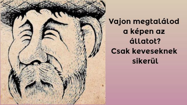 állatteszt személyiségteszt