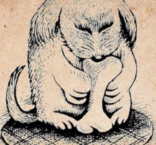 állatteszt személyiség teszt kutya