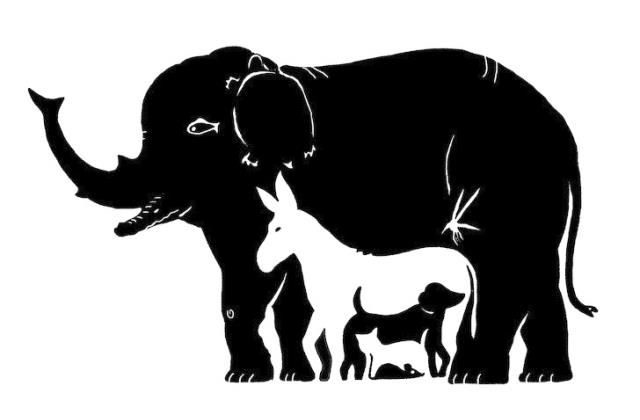 állatteszt személyiségteszt