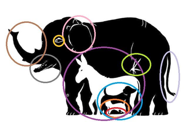 Mennyi állatot látsz a képen? Kihagyhatatlan teszt következik