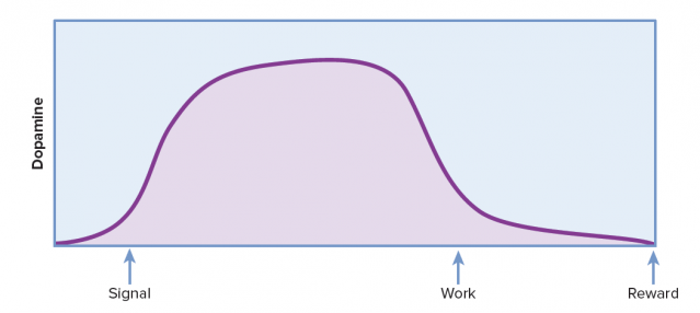 kísérlet online vásárlás