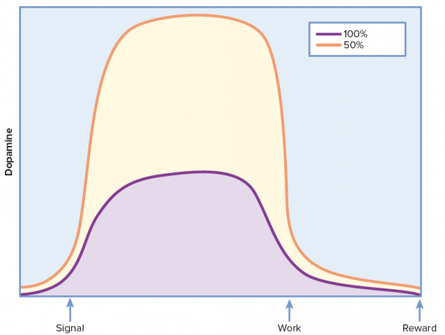 kísérlet online vásárlás