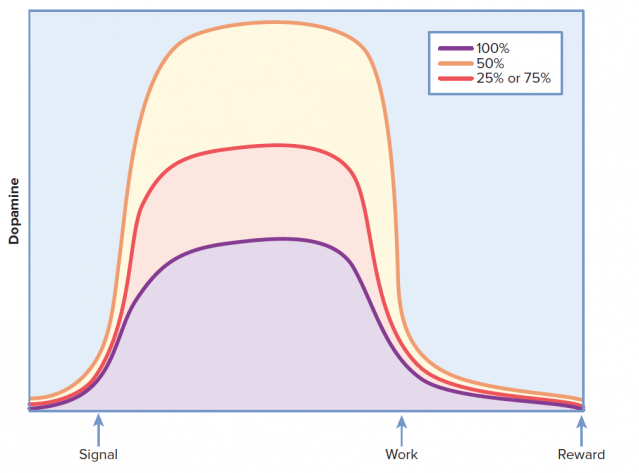 kísérlet online vásárlás