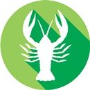 skorpió hava rák horoszkóp nyertes csillagjegyek