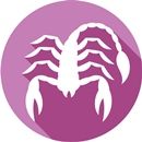 skorpió hava skorpió horoszkóp nyertes csillagjegyek