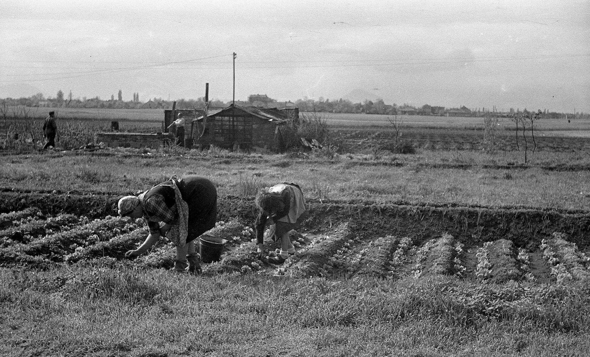 A lakótelep területe 1960-ban. Fotó: Fortepan
