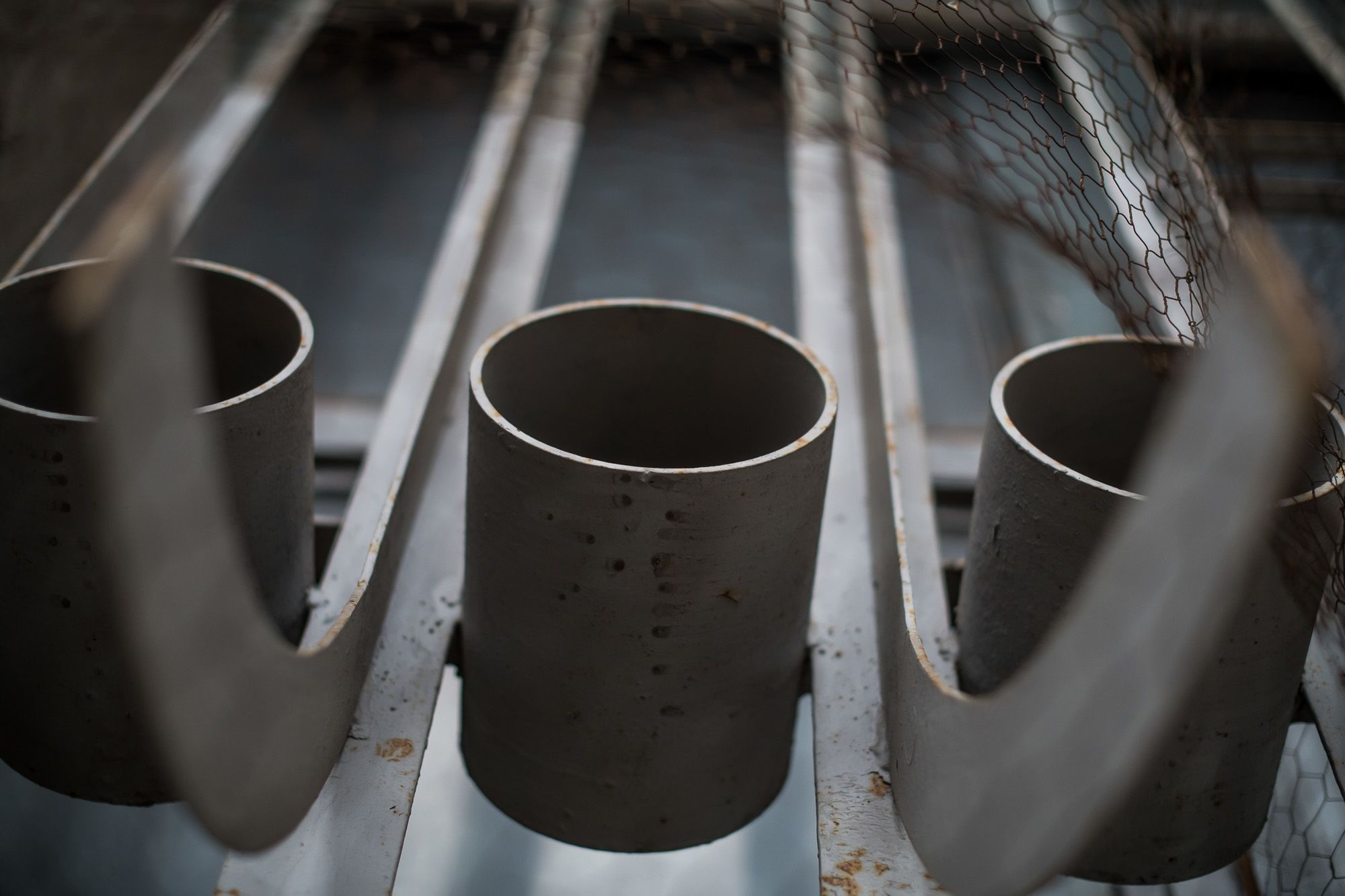 Fotó: Neményi Márton