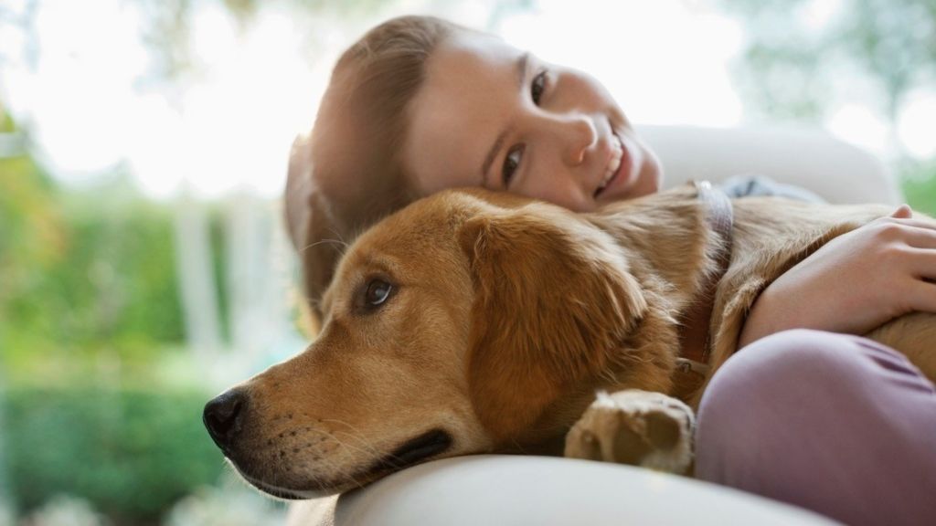 kutya tini állatartás