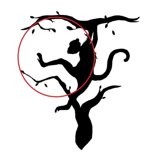 személyiségteszt oroszlán bal agyfélteke