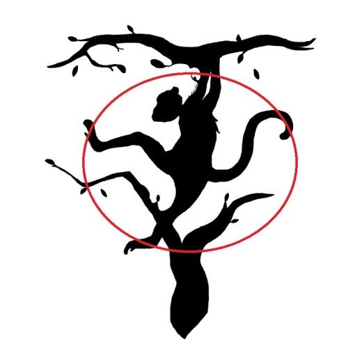 személyiségteszt majom jobb agyfélteke