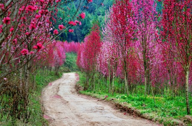 napi kínai horoszkóp 2019. január 8.