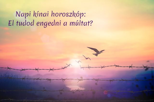 napi kínai horoszkóp 2019. február 22.