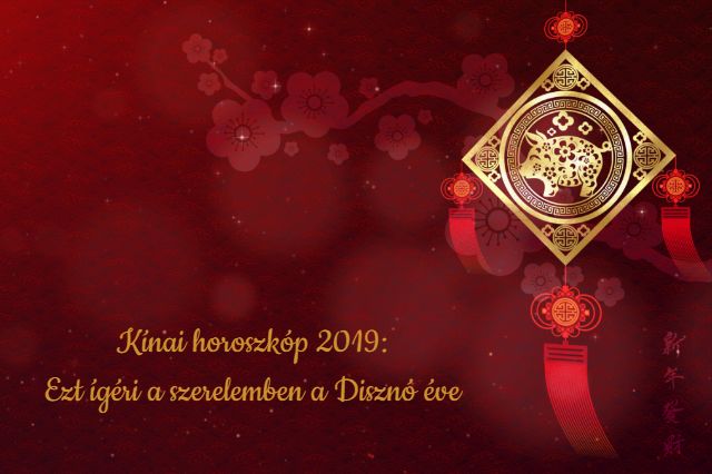 kínai horoszkóp disznó éve 2019 szerelem