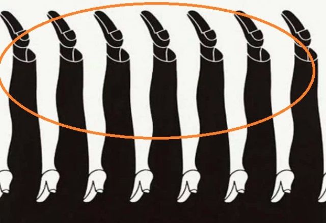 személyiségteszt kommunikáció