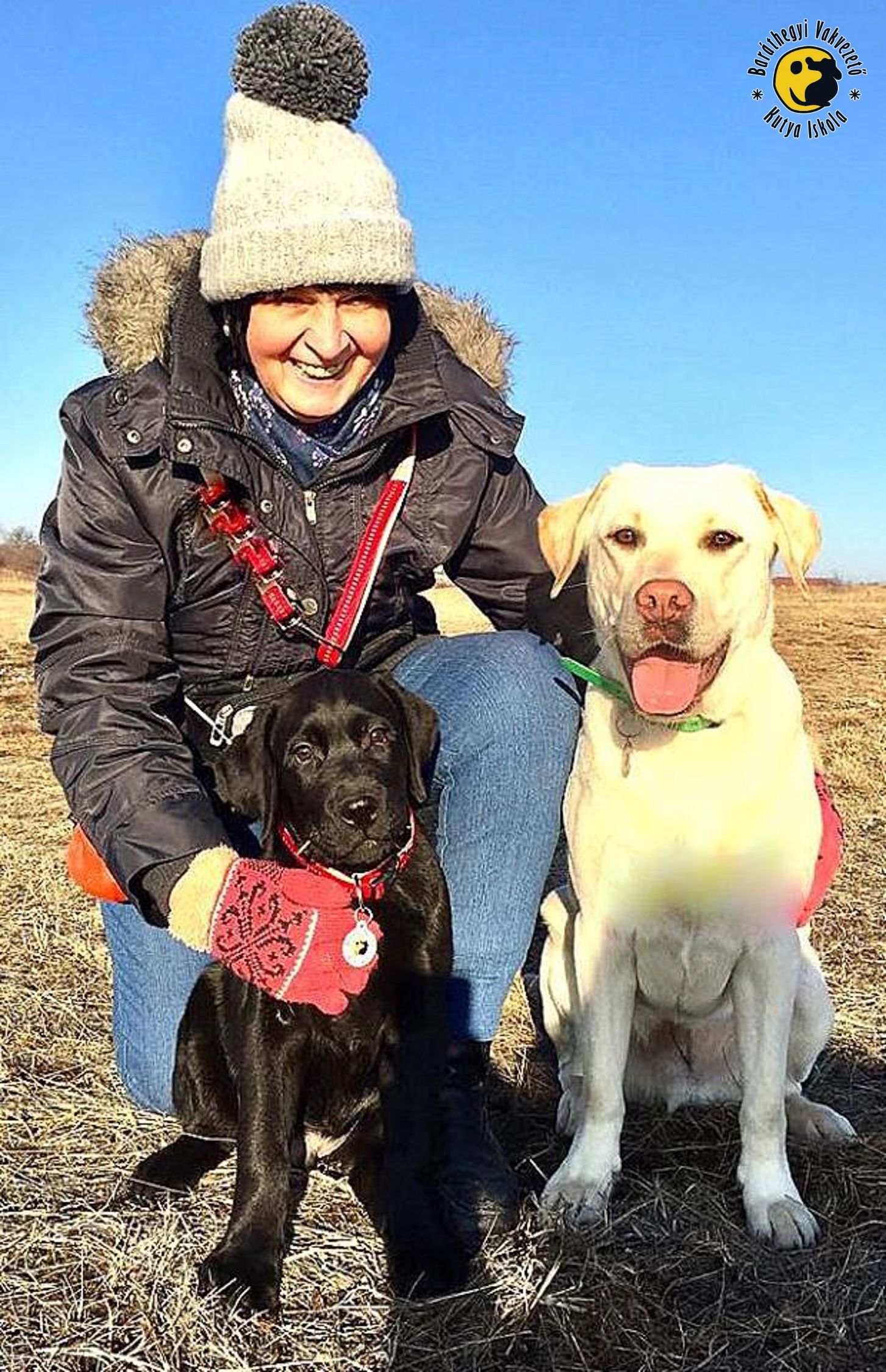 baráthegyi vakvezető kutya iskola, vakvezető kutya, kölyöknevelés