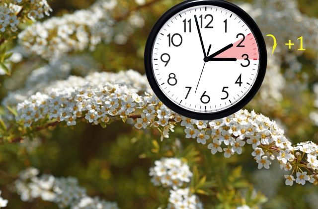 heti horoszkóp 2019. március 25-31.