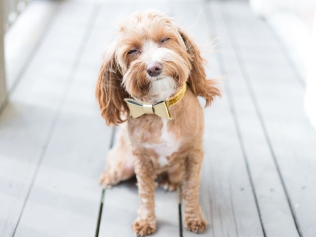 napi kínai horoszkóp 2019. március 13.