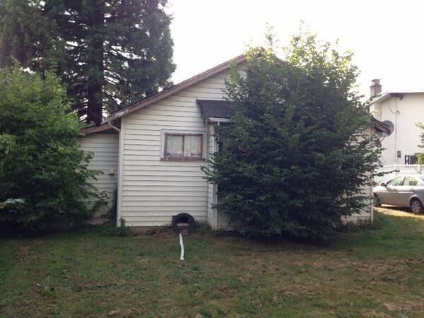 Ha csak egy fát ültetnél a kertbe...