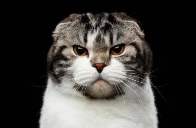 sértődékeny érzékeny csillagjegyek