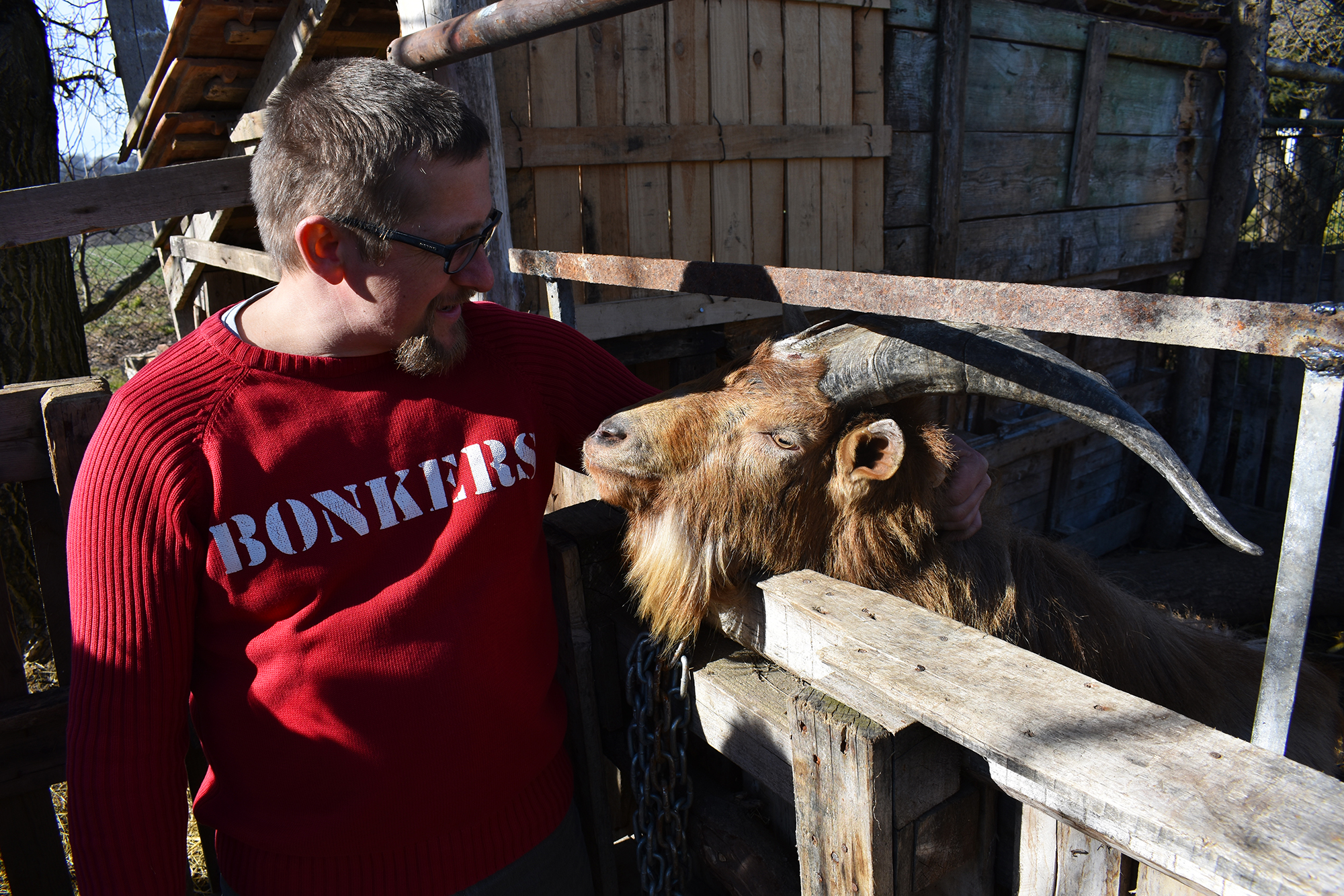 Ördög - Fotó: Ignácz Péter