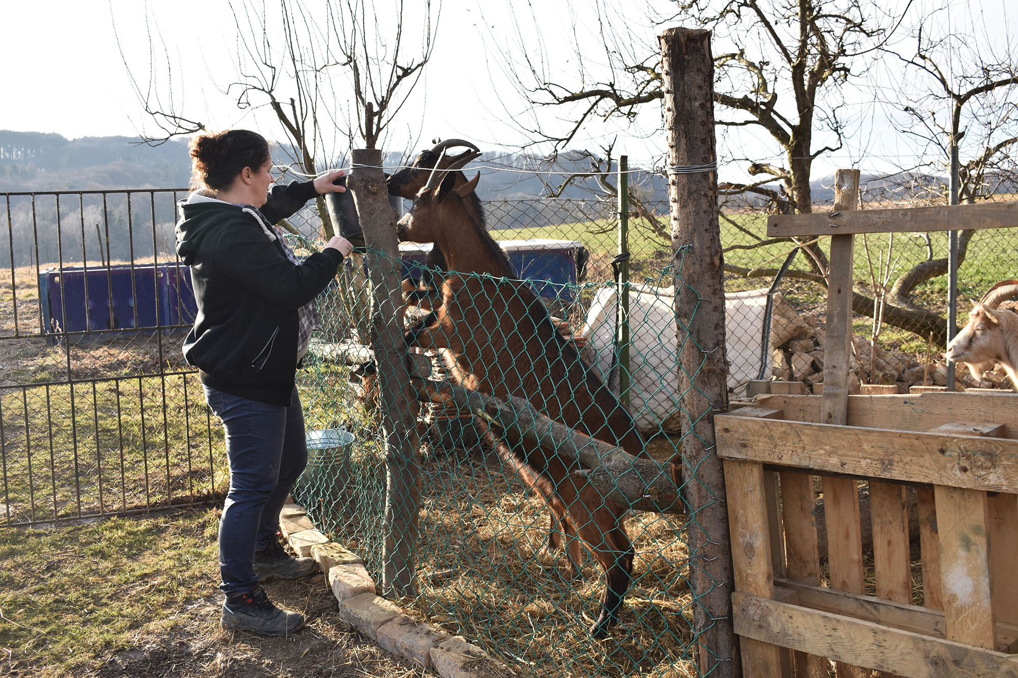 Lexa - Fotó: Ignácz Péter