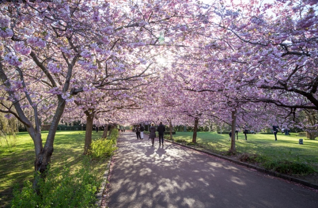 tavaszi hétvége programok csillagjegyek horoszkóp