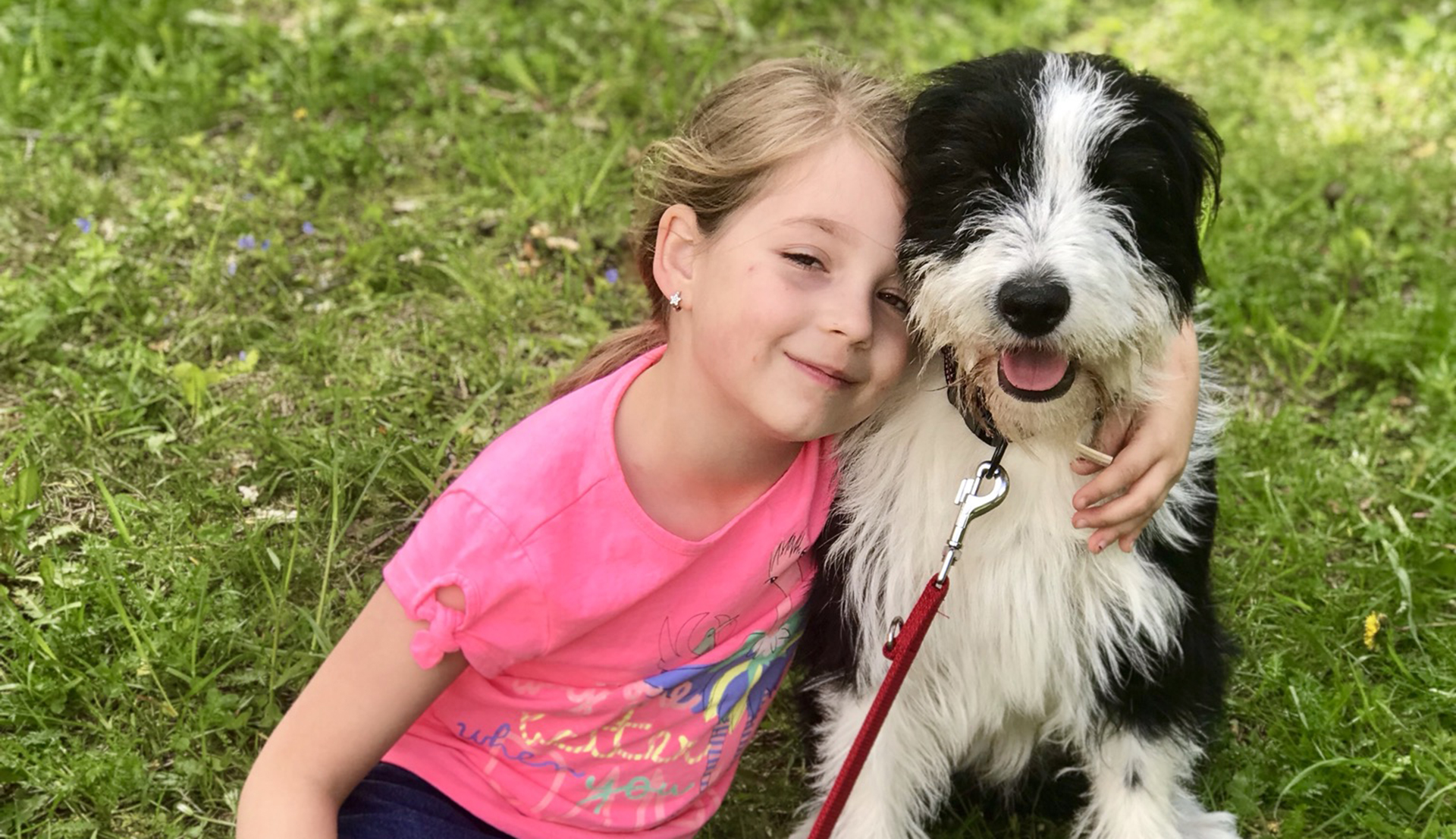 Mentett kutya, kutyamenhely, felelős kutyatartás, Mázli és Záli