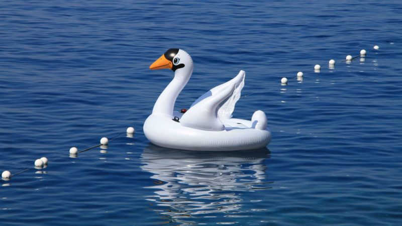 felfújható hattyú