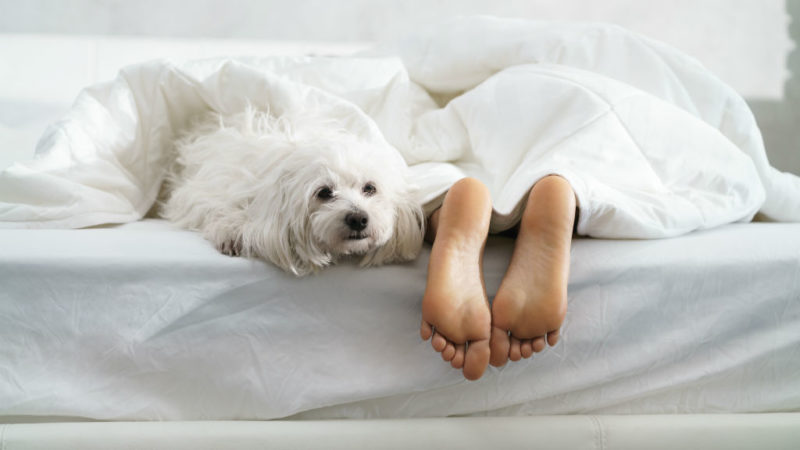 hétvége pihenés alvás ágy