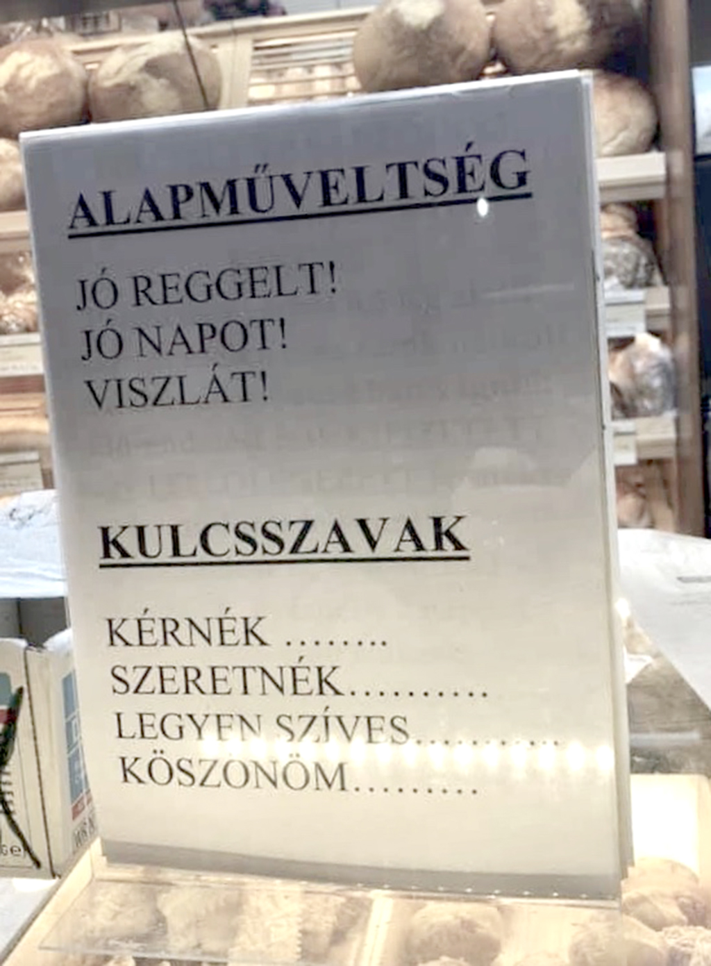 alapműveltség, kulcsszavak, kioktatás, tábla