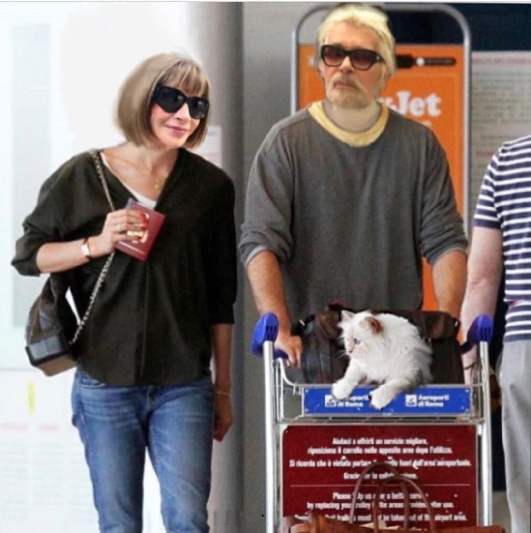 Choupette cica Karl Lagerfeld macskája