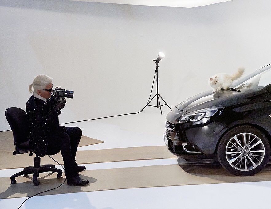 Choupette cica Karl Lagerfeld macskája