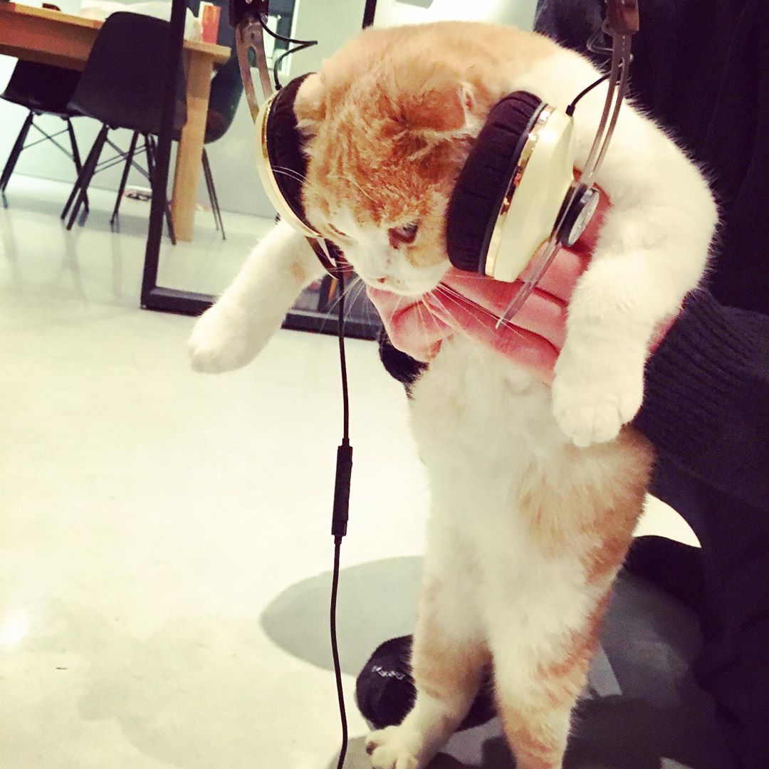 Ed Sheeran cicái Calippo és Dorito