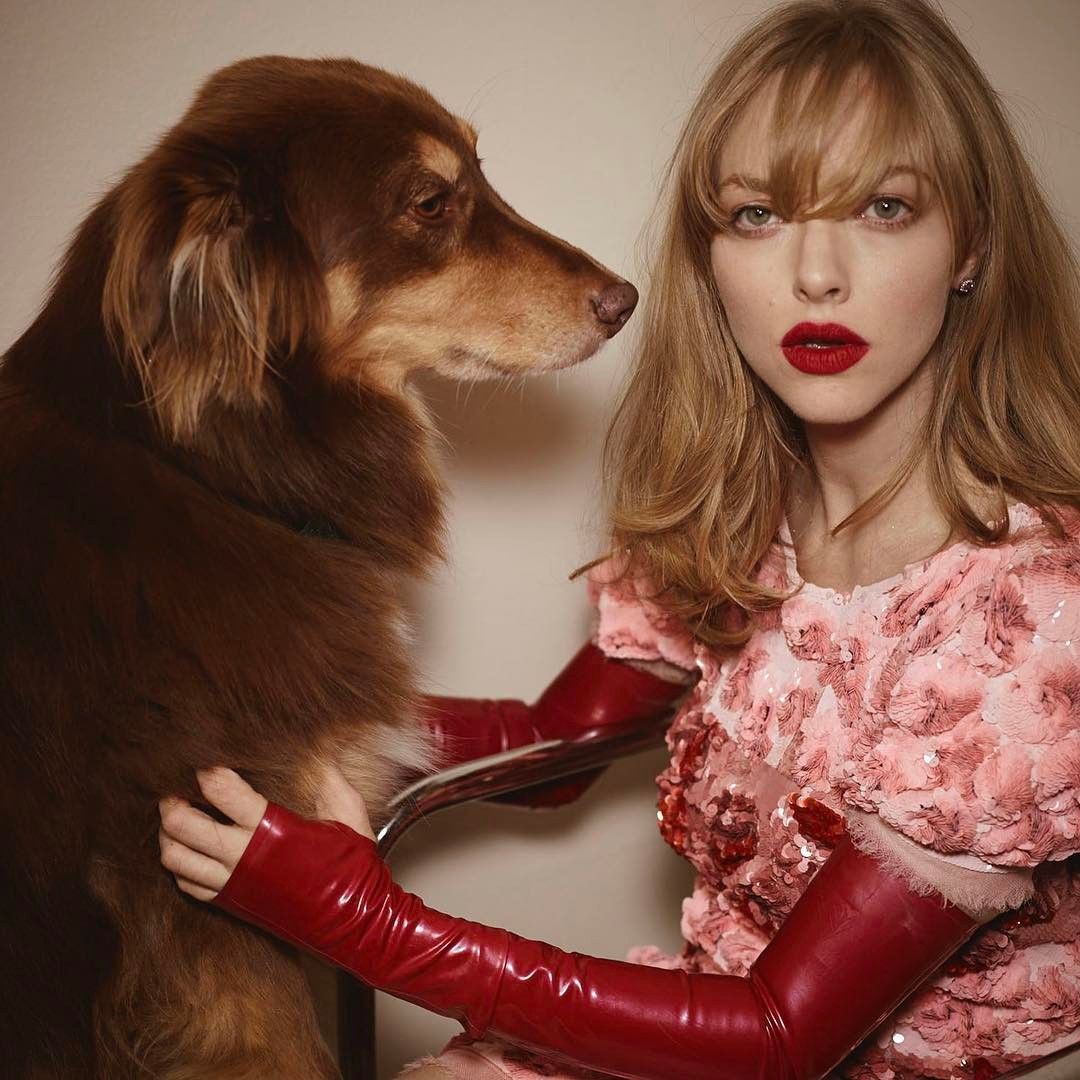 Amanda Seyfried kutyája, Finn