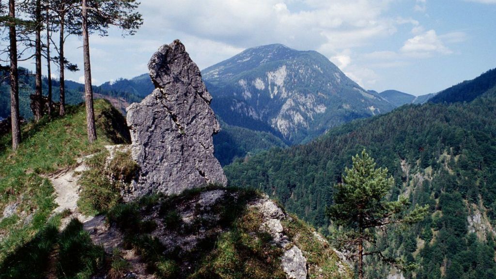 Kalkalpen Nemzeti Park