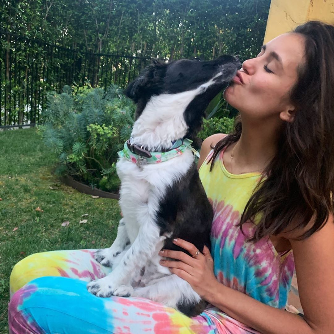 Nina Dobrev kutyája Maverick