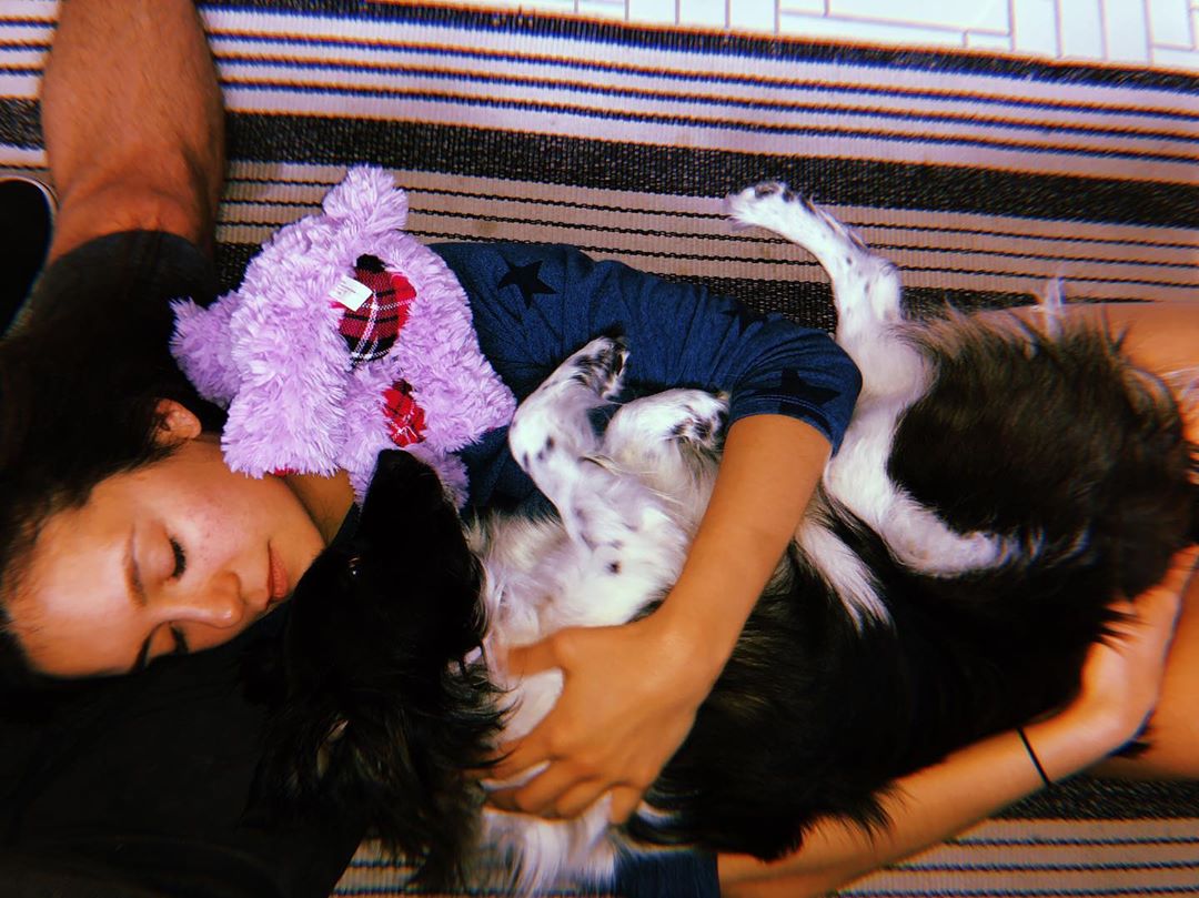 Nina Dobrev kutyája Maverick