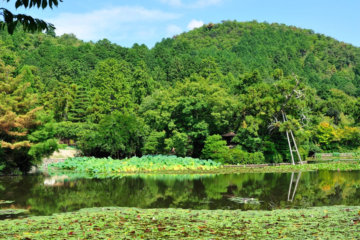 A tó mesebeli szépsége mindenkit elvarázsol. (Fotó: Profimedia)