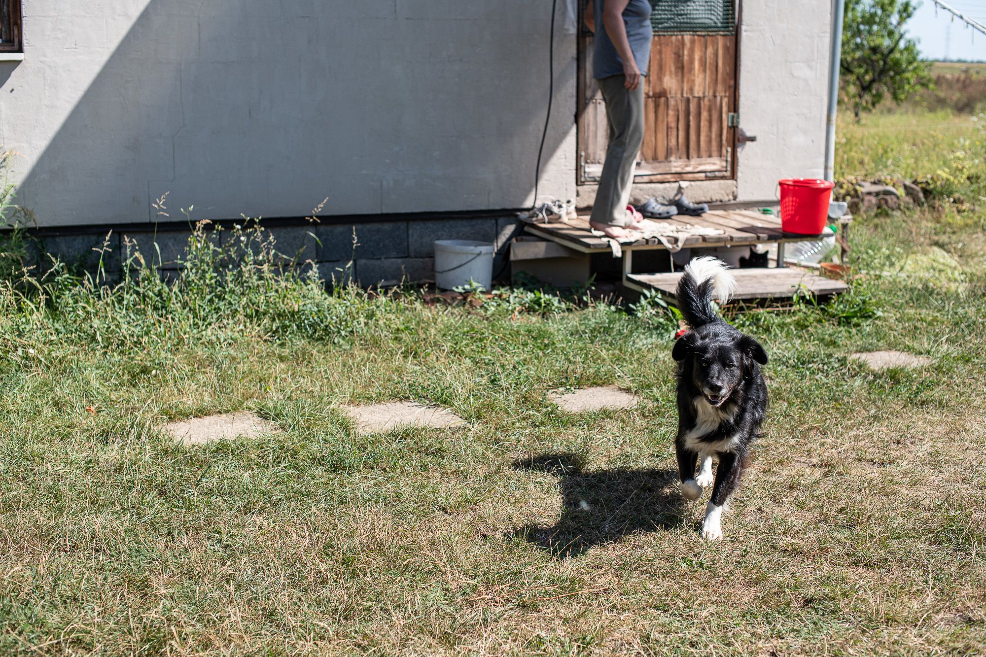 Fotó: Neményi Márton