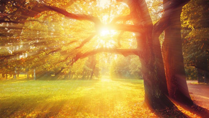 ősz napsütés vénasszonyok nyara