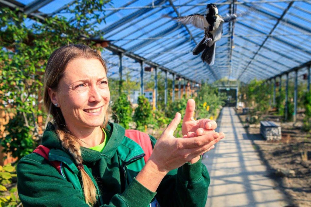 madárparadicsom bécs