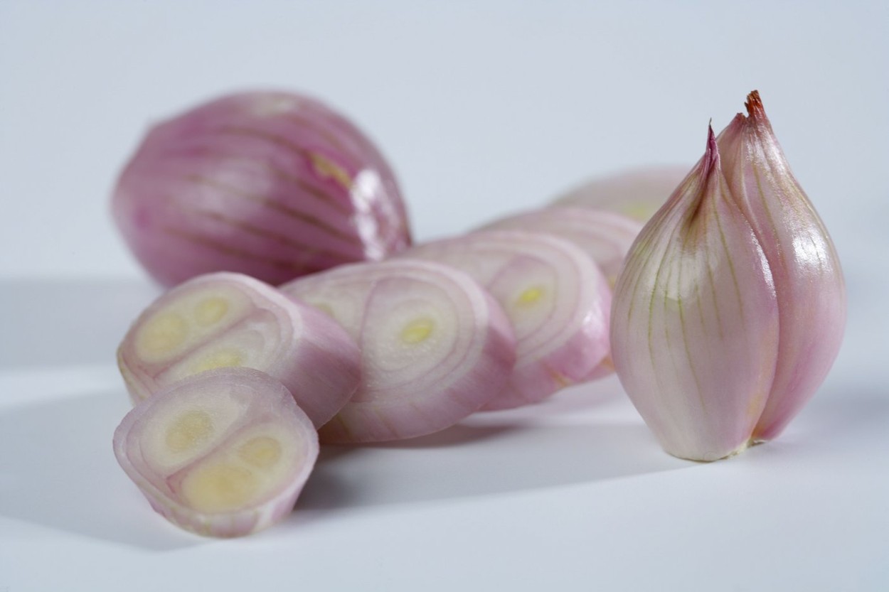 Sonkahagyma (Fotó: Profimedia)