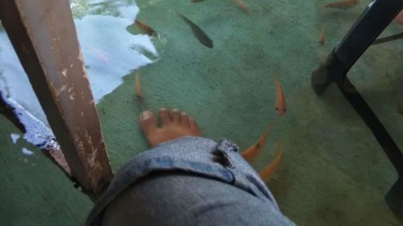 halpedikűr étterem