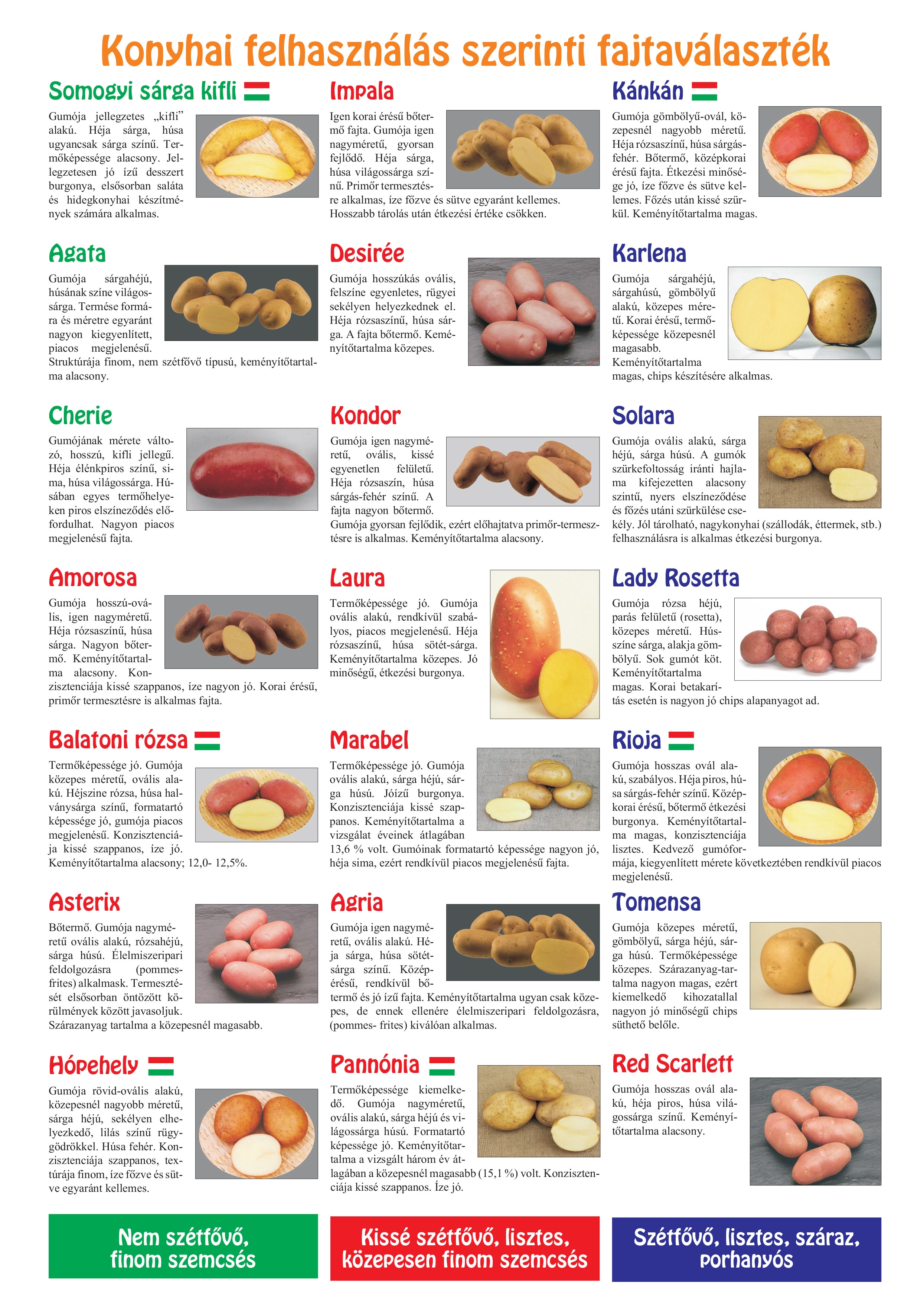 Az Országos Burgonya Szövetség és Terméktanács krumplikisokosa.