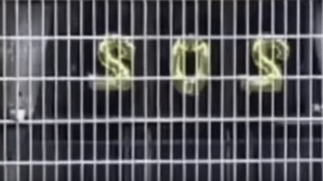 szilveszteri dekoráció rendőrség